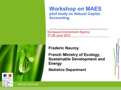 Workshop on MAES pilot study on Natural Capital Accounting European Environment AgencyJune 2013