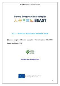 IEE project Contract N°: IEESI2D.3.1.c – Sommario - Business Plan della CMM - STEER Titolo del progetto: Efficienza energetica e ristrutturazione della CMM Luogo: Morbegno (SO)