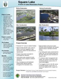 Terminology / Environment / Lake / Lake Worth Lagoon / Saunders Lake / Water / Lake Osborne / Wetlands