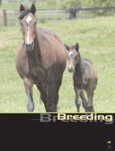Breeding Breeding 25 Breeding Figures Breeding