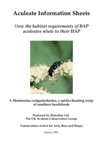 Aculeate Information Sheets How the habitat requirements of BAP aculeates relate to their HAP 4. Homonotus sanguinolentus, a spider-hunting wasp of southern heathlands