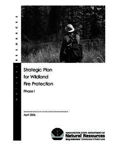 Strategic Plan4[removed]p65