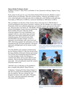 Diptera Bioblitz Preliminary Results By Rebecca Clement, C. Riley Nelson, and Matthew D. Otis, Department of Biology, Brigham Young University Each summer for the past few years Great Basin National Park has hosted a Bio