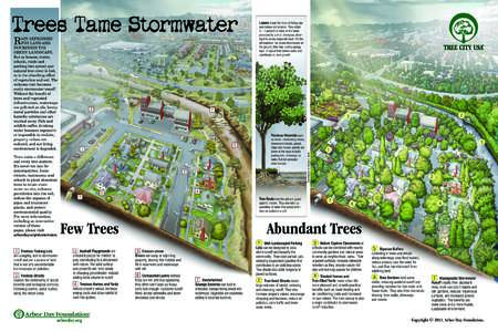 arborday.org  Copyright © 2011, Arbor Day Foundation. 