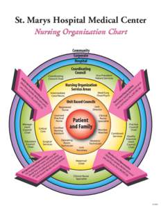 St. Marys Hospital Medical Center Nursing Organization Chart Qu ali Clin ty Im