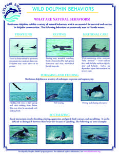 Wild Behavior Fact Sheet.indd