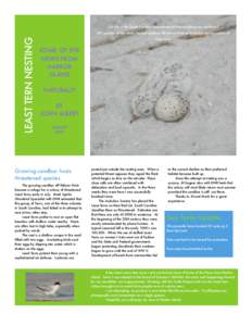 On July 9 the South Carolina Department of Natural Resources cordoned  LEAST TERN NESTING off a portion of the newly formed sandbar off Pelican Point to protect a nesting colony of Least Terns