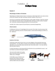 Session 4 Morphology as Evidence of Evolution Morphology has helped scientists discover evolutionary relationships back to very early versions of the horse, between the sabre tooth tiger and other members of the cats, et