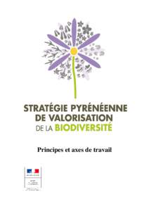 Principes et axes de travail  Le massif des Pyrénées abrite une diversité biologique remarquable, héritée d’une histoire naturelle particulière, originale au sein du continent européen. Cette diversité découl