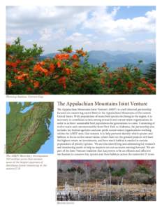 Scott Somershoe  Flaming Azaleas, Carvers Gap The Appalachian Mountains Joint Venture