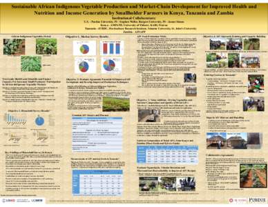 Staple foods / Tubers / Model organisms / Grains / Amaranth / Seed / Fertilizer / Cassava / Rice / Food and drink / Agriculture / Tropical agriculture