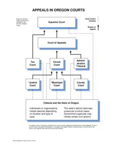 APPEALS IN OREGON COURTS Supreme Court has original jurisdiction in mandamus, quo warranto, habeas corpus