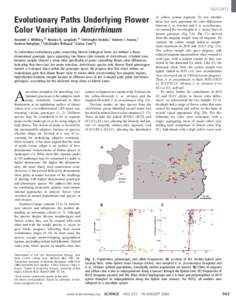 REPORTS  Evolutionary Paths Underlying Flower Color Variation in Antirrhinum Annabel C. Whibley,1* Nicolas B. Langlade,1* Christophe Andalo,2 Andrew I. Hanna,3 Andrew Bangham,3 Christophe The´baud,2 Enrico Coen1†