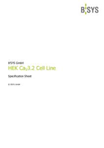 B’SYS GmbH  HEK CaV3.2 Cell Line Specification Sheet © B’SYS GmbH