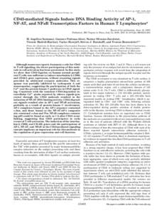 THE JOURNAL OF BIOLOGICAL CHEMISTRY © 2000 by The American Society for Biochemistry and Molecular Biology, Inc. Vol. 275, No. 40, Issue of October 6, pp[removed] –31468, 2000 Printed in U.S.A.