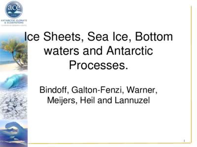 Ice Sheets, Sea Ice, Bottom waters and Antarctic Processes. Bindoff, Galton-Fenzi, Warner, Meijers, Heil and Lannuzel