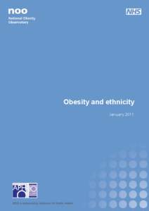 Microsoft Word - Obesity and ethnicity[removed]FINAL MG.doc