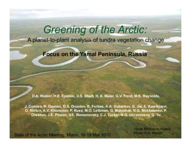 Greening of the Arctic: A planet-to-plant analysis of tundra vegetation change Focus on the Yamal Peninsula, Russia D.A. Walker, H.E. Epstein, U.S. Bhatt, H. A. Maier, G.V. Frost, M.K. Raynolds, J. Comiso, R. Daanen, D.S