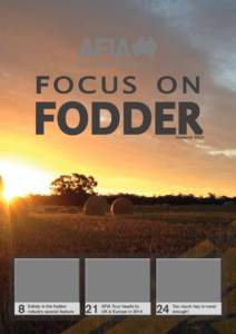 focus on  Fodder Summer 2014