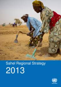 Credit: WFP Niger[removed]Sahel Regional Strategy 2013