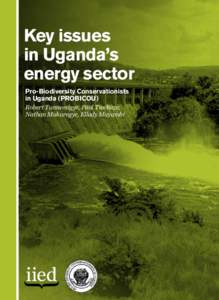 Key issues in Uganda’s energy sector Pro-Biodiversity Conservationists in Uganda (PROBICOU) Robert Tumwesigye, Paul Twebaze,