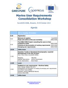 Marine User Requirements Consolidation Workshop EuroGOOS AISBL, Brussels, 29-30 October 2013 Agenda DAY 1: Tuesday 29 October