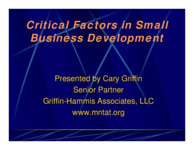 Critical Factors in Small Business Development
