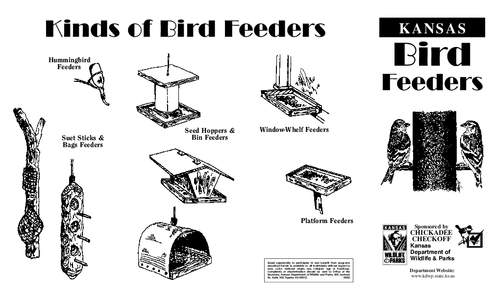 Kinds of Bird Feeders Hummingbird Feeders KANSAS