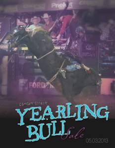 [removed]  D&H Yearling Bull Sale WELCOME to the 2013 Yearling Bull Sale, We have decided to change things up a little this year. In the past, we have included our top end yearling bulls in