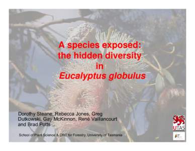 Eucalyptus globulus / Flora of Australia / Eucalyptus / Paweł Edmund Strzelecki / Flinders Island / Strzelecki / Furneaux Group / Tasmania / King Island / Bass Strait / Geography of Tasmania / Geography of Australia