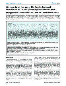 Graveyards on the Move: The Spatio-Temporal Distribution of Dead Ophiocordyceps-Infected Ants Maj-Britt Pontoppidan1*, Winanda Himaman2, Nigel L. Hywel-Jones3, Jacobus J. Boomsma4, David P.