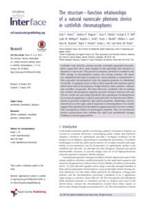 The structure –function relationships of a natural nanoscale photonic device in cuttlefish chromatophores rsif.royalsocietypublishing.org  Research