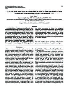 253  The Journal of Experimental Biology 202, 253–Printed in Great Britain © The Company of Biologists Limited 1999 JEB1746