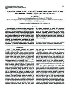 Reproduction / Corpus cavernosum penis / Tunica albuginea / Erection / Corpus spongiosum penis / Penis / Clitoral erection / Trabecula / Male reproductive system / Reproductive system / Human reproduction