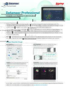 datameer-professional-bigstep-datasheet