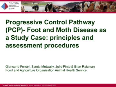 Progressive Control Pathway (PCP)- Foot and Moth Disease as a Study Case: principles and assessment procedures Giancarlo Ferrari, Samia Metwally, Julio Pinto & Eran Raizman Food and Agriculture Organization Animal Health