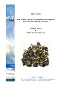 BSc Thesis Blue Mussel (Mytilus edulis) in Faroese Fjords: Biology and Farming Potential