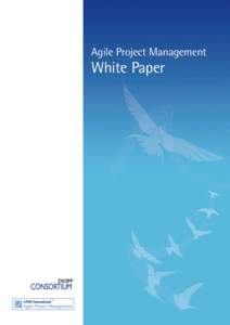Agile Project Management  White Paper 2