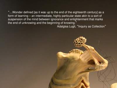 “…Wonder defined [as it was up to the end of the eighteenth century] as a form of learning – an intermediate, highly particular state akin to a sort of suspension of the mind between ignorance and enlightenment tha