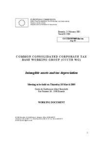 EUROPEAN COMMISSION DIRECTORATE-GENERAL TAXATION AND CUSTOMS UNION Analyses and tax policies Analysis and Coordination of tax policies  Brussels, 21 February 2005