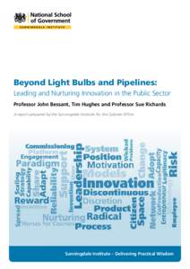 Beyond Light Bulbs and Pipelines: Leading and Nurturing Innovation in the Public Sector Professor John Bessant, Tim Hughes and Professor Sue Richards A report prepared by the Sunningdale Institute for the Cabinet Office 