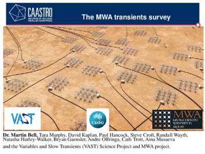 The MWA transients survey  Dr. Martin Bell, Tara Murphy, David Kaplan, Paul Hancock, Steve Croft, Randall Wayth, Natasha Hurley-Walker, Bryan Gaensler, Andre Offringa, Cath Trott, Aina Musaeva and the Variables and Slow 