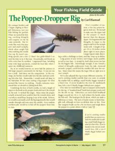 Your Fishing Field Guide  The Popper-Dropper Rig My younger brother and I began angling as bluegill fishermen, just two kids fishing for panfish.