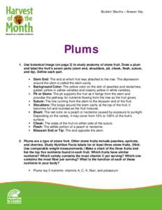 Student Sleuths – Answer Key  Plums 1. Use botanical image (on page 2) to study anatomy of stone fruit. Draw a plum and label the fruit’s seven parts (stem end, shoulders, pit, cheek, flesh, suture, and tip). Define 