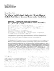 The Effect of Multiple Single Nucleotide Polymorphisms in the Folic Acid Pathway Genes on Homocysteine Metabolism