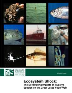 OctoberEcosystem Shock: The Devastating Impacts of Invasive Species on the Great Lakes Food Web