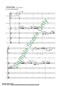 Artamidae - Ron Nagorcka (1) Grey Butcherbird didjeridu [G]  flute
