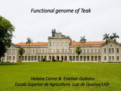 Functional genome of Teak  Helaine Carrer & Esteban Galeano Escola Superior de Agricultura Luiz de Queiroz/USP  UNIVERSITY OF SAO PAULO