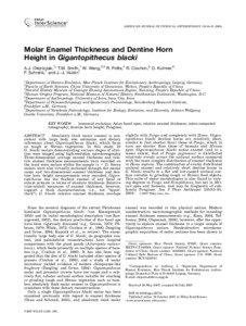 AMERICAN JOURNAL OF PHYSICAL ANTHROPOLOGY 135:85–[removed]Molar Enamel Thickness and Dentine Horn