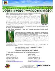 Technical Update – T0 Options, Winter Wheat With an estimated 60% of the UK wheat area drilled being highly susceptible to yellow rust, as well as septoria tritici careful consideration should be given to T0 sprays. Wh
